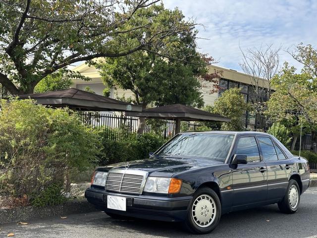 ミディアムクラス ３００Ｅ　Ｗ１２４（19枚目）