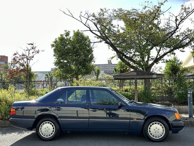 ３００Ｅ　Ｗ１２４(23枚目)