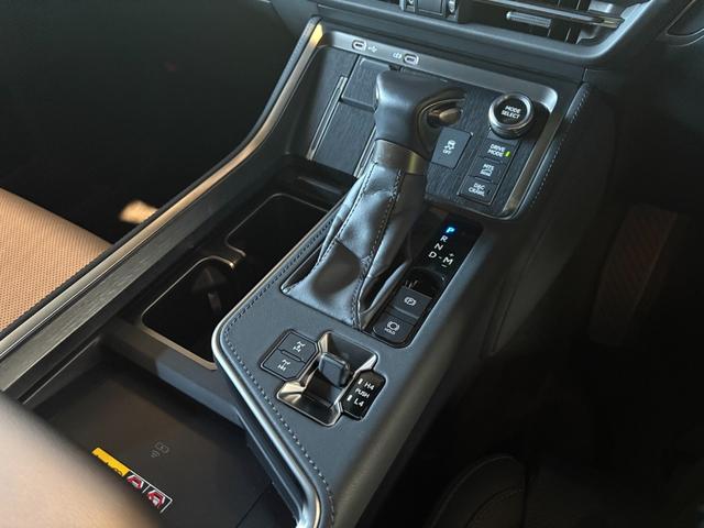 GX GX550 オーバートレイル+ 100台限定車 AUTHORセキュリティ ムーンルーフ マークレビンソン クールボックス 地デジチューナー パノラミックビューモニター デジタルインナーミラー F.Rシートヒーター Fベンチレーション(15枚目)