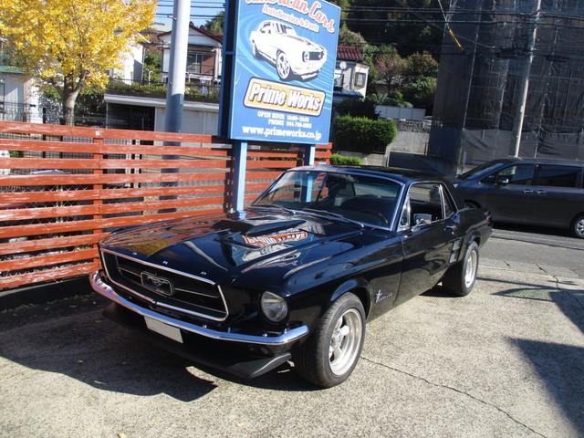 マスタング （15枚目）