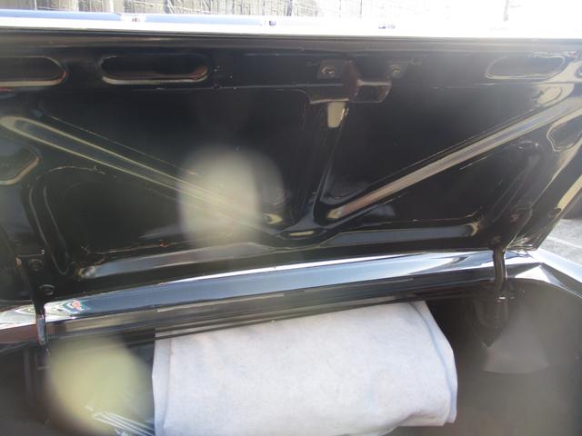 マスタング （22枚目）