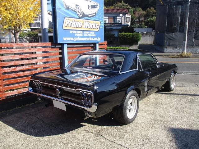 マスタング （33枚目）