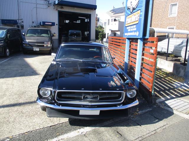 マスタング （36枚目）