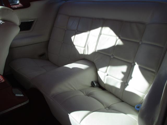 マスタング 　マスタングＩＩ（16枚目）