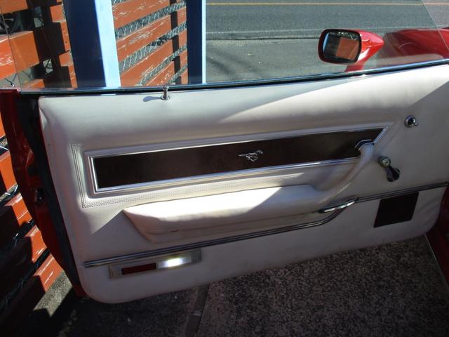 マスタング 　マスタングＩＩ（17枚目）