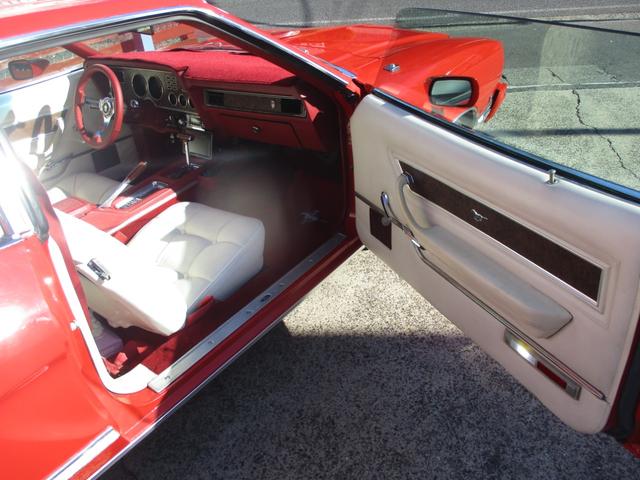 マスタング 　マスタングＩＩ（22枚目）