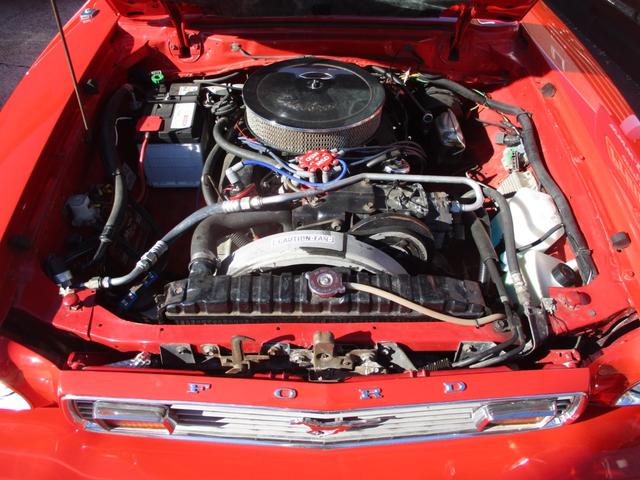 マスタング 　マスタングＩＩ（30枚目）