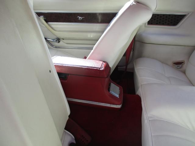 マスタング 　マスタングＩＩ（44枚目）