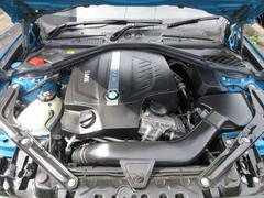 ͣ ١졼ɡϿͣԡʥӡХå 9510341A30250930W001 2