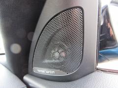 ͣ ١졼ɡϿͣԡʥӡХå 9510341A30250930W001 4