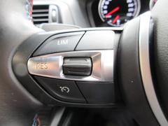 ͣ ١졼ɡϿͣԡʥӡХå 9510341A30250930W001 5