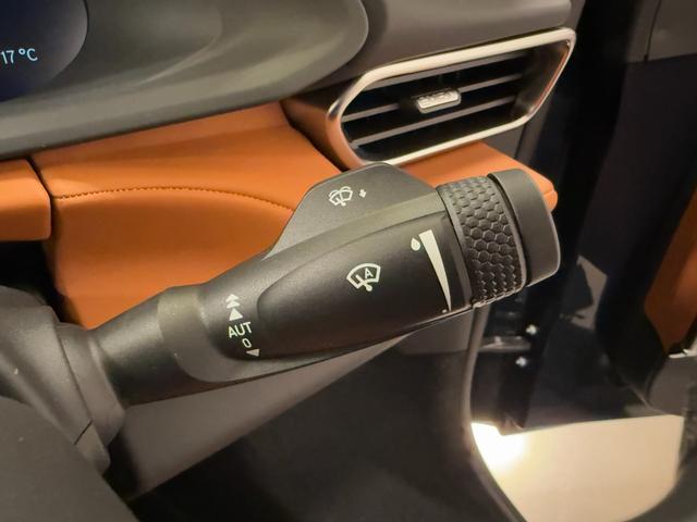 エミーラ Ｖ６　ファーストエディション　ワンオーナー／６速ＭＴ／タンレザーシート＆ブラックパック／イエローキャリパー／（21枚目）