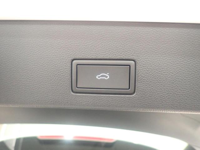 ゴルフヴァリアント TDI スタイル(22枚目)