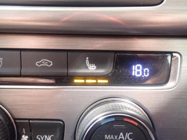 ゴルフヴァリアント アニバーサリーエディション(17枚目)