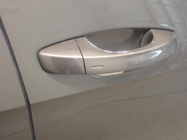 ゴルフヴァリアント アニバーサリーエディション(20枚目)