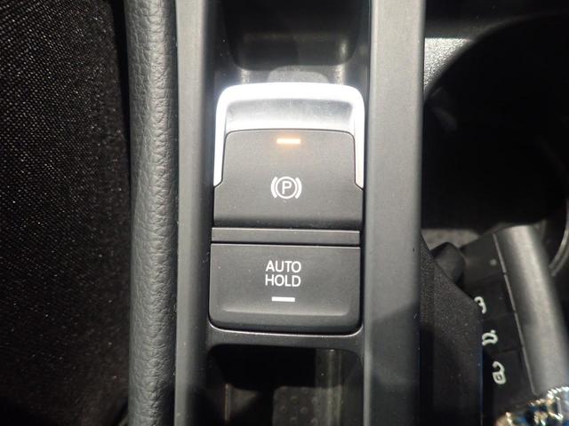 ゴルフヴァリアント アニバーサリーエディション(25枚目)