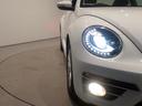 VOLKSWAGEN THE BEETLE