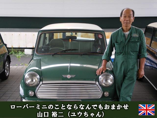 ヴォーグ サンルーフ レザーシート 右ハンドル ディーラー車(38枚目)
