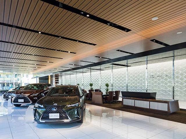 ＮＸ ＮＸ３５０ｈ　バージョンＬ　２０インチアルミホイール　Ａｄｖａｎｃｅｄ　Ｐａｒｋ　パーキングサポートブレーキ　ＩＴＳ　Ｃｏｎｎｅｃｔ　カラーヘッドアップディスプレイ　三眼フルＬＥＤヘッドランプ　アダプティブハイビームシステム（32枚目）