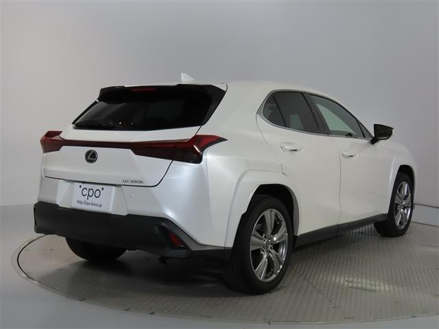 ＵＸ ＵＸ２５０ｈ　グレイスフル　エクスプローラー　メモリーナビ　フルセグＴＶ　パワーシート　ＬＥＤヘッドランプ　記録簿　ワンオーナー　禁煙車　特別仕様車専用Ｌｔｅｘ／モーブ　フロアマット　ホイールロックボルト　ナンバーフレーム（3枚目）