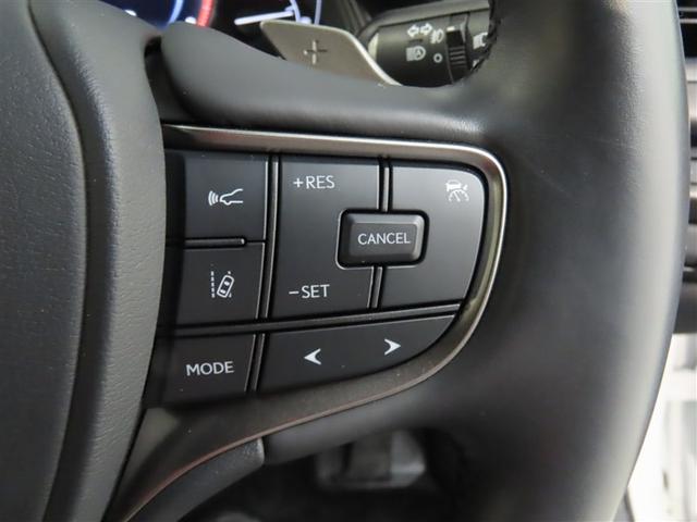 ＵＸ ＵＸ２５０ｈ　グレイスフル　エクスプローラー　メモリーナビ　フルセグＴＶ　パワーシート　ＬＥＤヘッドランプ　記録簿　ワンオーナー　禁煙車　特別仕様車専用Ｌｔｅｘ／モーブ　フロアマット　ホイールロックボルト　ナンバーフレーム（16枚目）