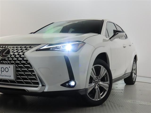 ＵＸ ＵＸ２５０ｈ　グレイスフル　エクスプローラー　メモリーナビ　フルセグＴＶ　パワーシート　ＬＥＤヘッドランプ　記録簿　ワンオーナー　禁煙車　特別仕様車専用Ｌｔｅｘ／モーブ　フロアマット　ホイールロックボルト　ナンバーフレーム（19枚目）