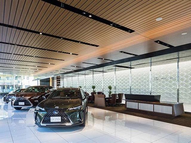 ＵＸ ＵＸ２５０ｈ　グレイスフル　エクスプローラー　メモリーナビ　フルセグＴＶ　パワーシート　ＬＥＤヘッドランプ　記録簿　ワンオーナー　禁煙車　特別仕様車専用Ｌｔｅｘ／モーブ　フロアマット　ホイールロックボルト　ナンバーフレーム（32枚目）