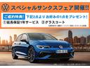 ＴＳＩ　スタイル　ＳａｆｅｔｙＰＫＧ　ＡＣＣ　パドルシフト　ＡＣＣ　プリクラッシュブレーキ　レーンキープアシスト　ブラインドスポット　ＥＴＣ２．０　前後コーナーセンサー　パークアシスト　ＬＥＤ　１７インチアルミホイール(2枚目)