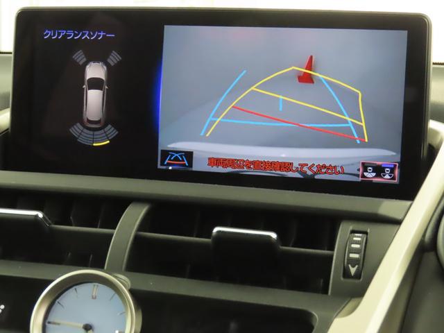 ＮＸ３００ｈ　Ｉパッケージ(11枚目)