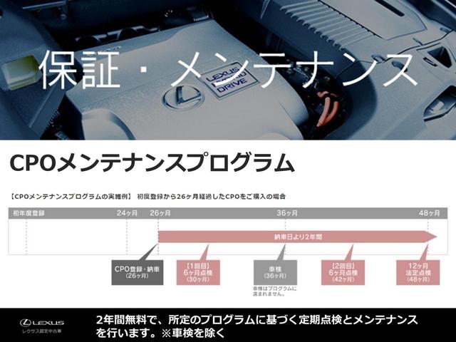 ＮＸ ＮＸ３００ブロンズエディション　ブラインドスポットモニター　パーキングサポートブレーキ　三眼フルＬＥＤヘッドライト　プリクラッシュセーフティ　レーダークルーズコントロール　シートヒーター　スペアタイヤ（24枚目）