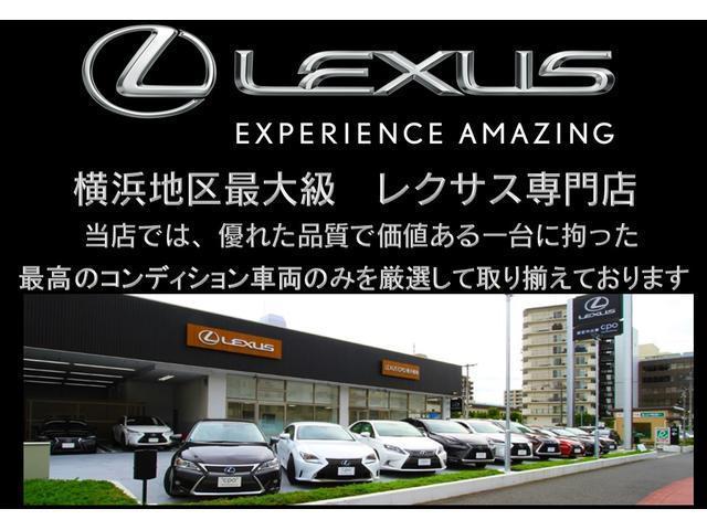 ＲＸ ＲＸ３００　スペアタイヤ　三眼フルＬＥＤヘッドライト　ブレードスキャン　２０インチアルミホイール　プリクラッシュセーフティ　レーダークルーズコントロール　ブラインドスポットモニター（19枚目）