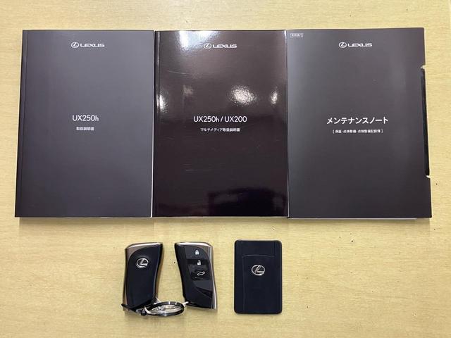 ＵＸ ＵＸ２５０ｈ　バージョンＬ（19枚目）