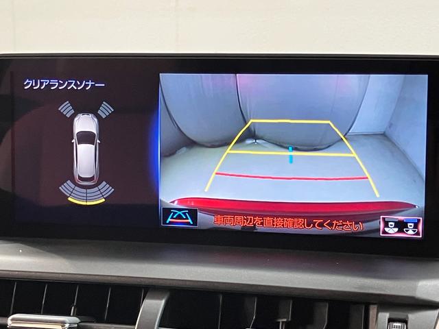 ＮＸ ＮＸ３００　Ｉパッケージ（15枚目）