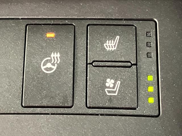 ＩＳ ＩＳ３００　Ｆスポーツ　本革シート　ムーンルーフ　パノラミックビューモニター　ブラインドスポットモニター　三眼フルＬＥＤヘッドランプ　オレンジブレーキキャリパー　プリクラッシュセーフティシステム（17枚目）