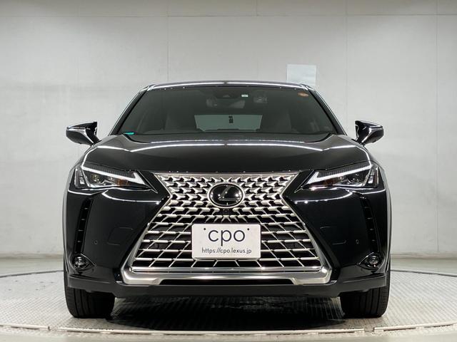 ＵＸ ＵＸ２５０ｈ　グレイスフル　エクスプローラー（3枚目）