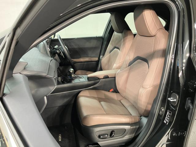 ＵＸ ＵＸ２５０ｈ　グレイスフル　エクスプローラー（9枚目）