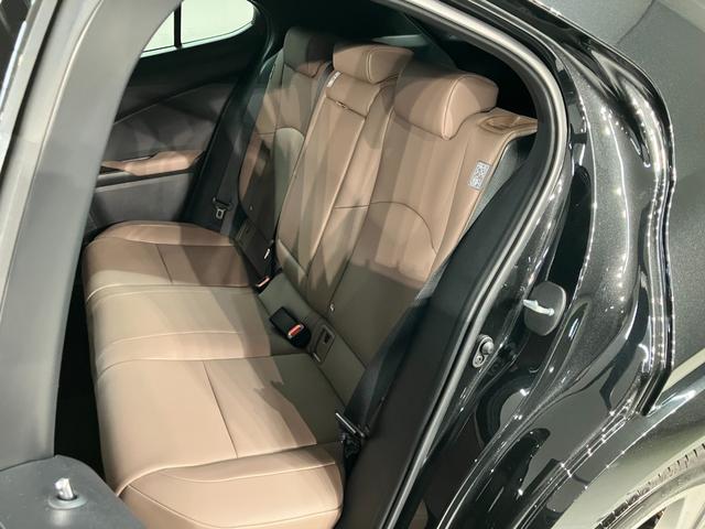 ＵＸ ＵＸ２５０ｈ　グレイスフル　エクスプローラー（10枚目）