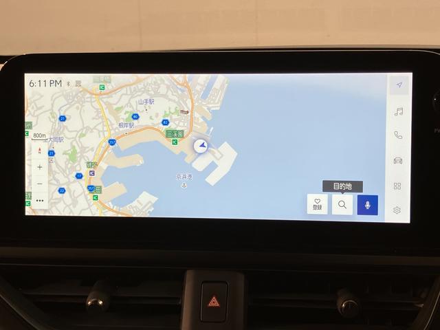 ＵＸ ＵＸ２５０ｈ　グレイスフル　エクスプローラー（12枚目）