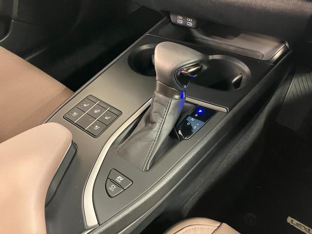 ＵＸ ＵＸ２５０ｈ　グレイスフル　エクスプローラー（16枚目）
