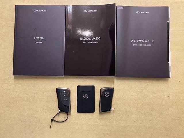 ＵＸ ＵＸ２５０ｈ　グレイスフル　エクスプローラー（20枚目）