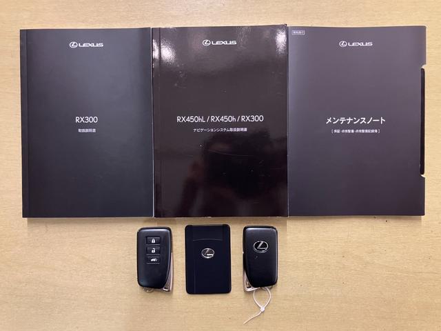 ＲＸ ＲＸ３００　Ｆスポーツ（21枚目）