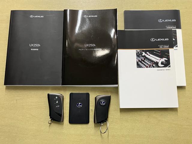 ＵＸ ＵＸ２５０ｈ　Ｆスポーツ（20枚目）