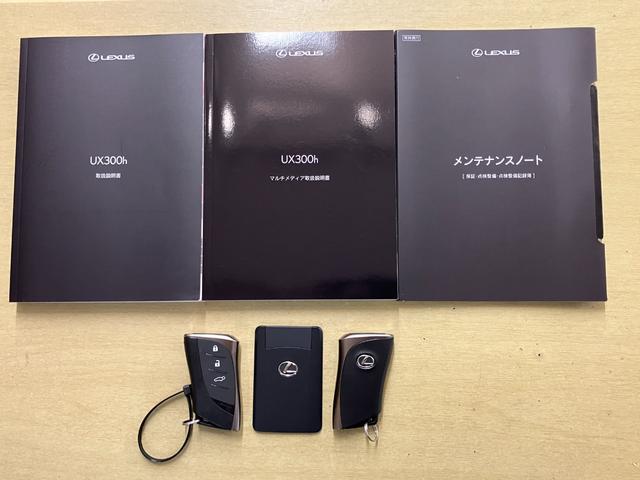 ＵＸ ＵＸ３００ｈ　バージョンＬ（20枚目）