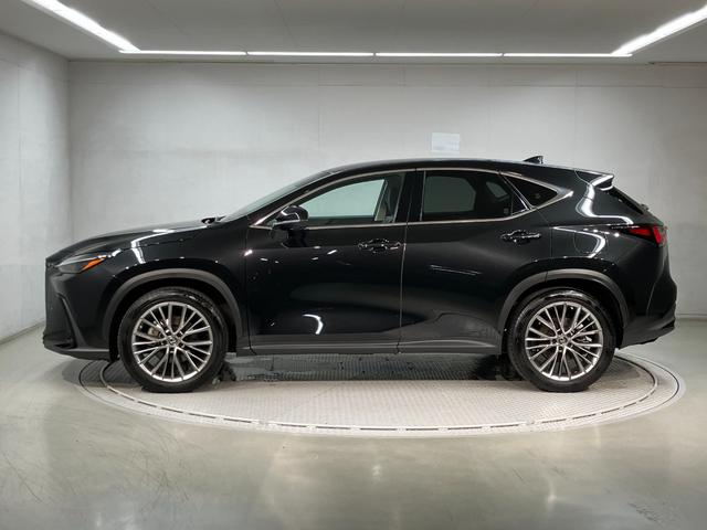 ＮＸ ＮＸ３５０ｈ　バージョンＬ（5枚目）