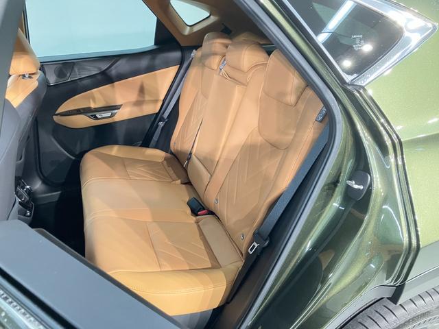 NX NX350h バージョンL(10枚目)
