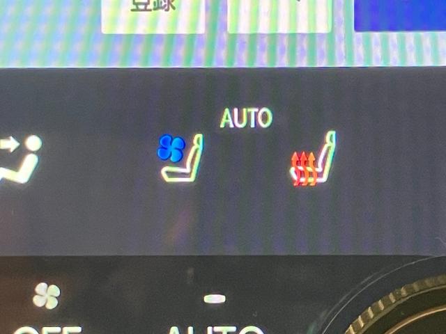 NX NX350h バージョンL(16枚目)