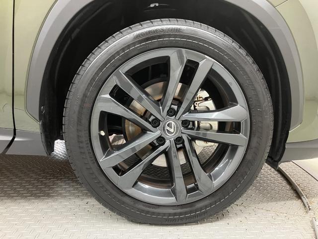 NX NX350h バージョンL(19枚目)