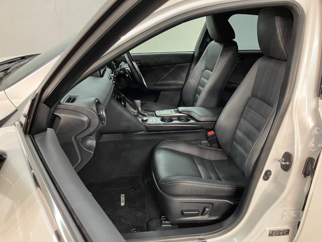 ＩＳ ＩＳ３００　バージョンＬ（9枚目）