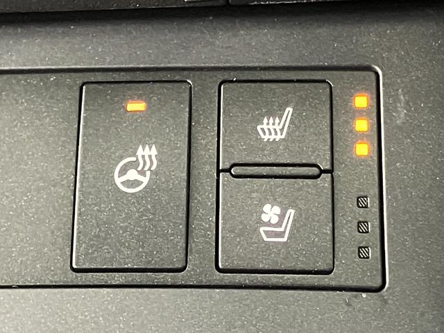 ＩＳ ＩＳ３００　バージョンＬ（16枚目）