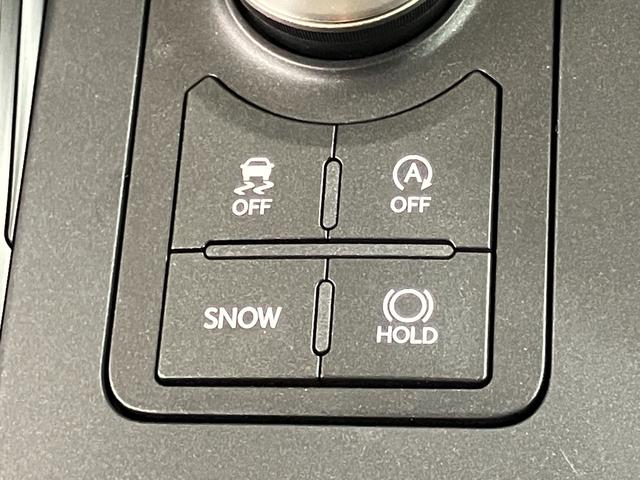 ＩＳ ＩＳ３００　バージョンＬ（17枚目）